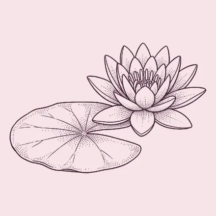 Hand-drawn water lily on still water
