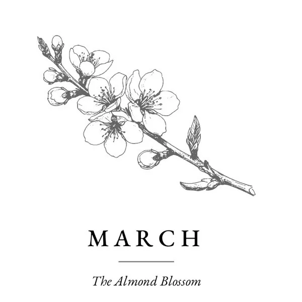 Close-up of the almond blossom drawing on the March opener