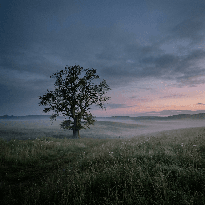 A Prayer for Loneliness